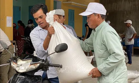 Kịp thời cấp phát gạo cứu đói cho nhân dân vùng thiên tai Ninh Thuận